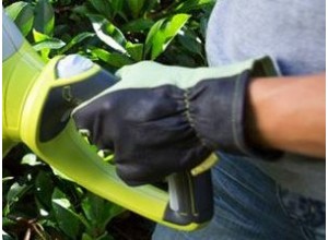 Προστασία του Κηπουρού