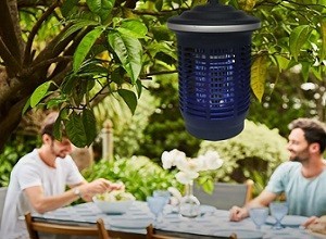 Εντομοαπωθητικά