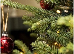 Χριστουγεννιάτικα Δέντρα & Αξεσουάρ