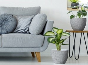 Ειδικές Εφαρμογές