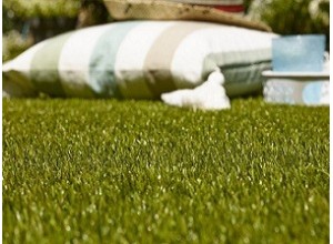 Χλοοτάπητας